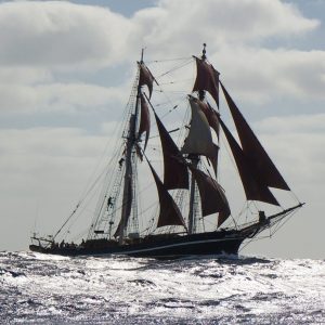 55 Grad Nord – Kurs Kopenhagen
